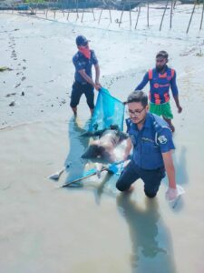 মোংলার পশুর নদী থেকে একজনের লাশ উদ্ধার করেছে নৌ পুলিশ 