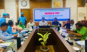 বর্ণাঢ্য র‍্যালি ও আলোচনায় কুমিল্লায় জাতীয় নিরাপদ সড়ক দিবস পালিত