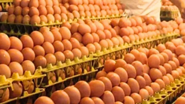 হাত বদলেই বাড়ে ডিমের দাম