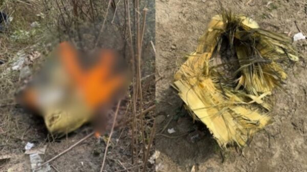 কুমিল্লা দাউদকান্দিতে মেঘনা-গোমতী সেতুর নিচে উদ্ধারকৃত টাইম বোমা নিষ্ক্রিয়