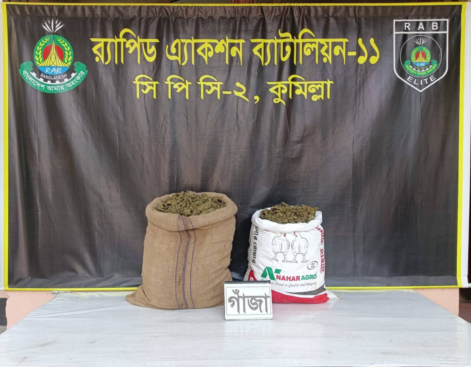 কুমিল্লায় ১১৯০ পিস ইয়াবাসহ স্বামী-স্ত্রী আটক, নগদ ৩ লাখ ৩১ হাজার টাকা জব্দ