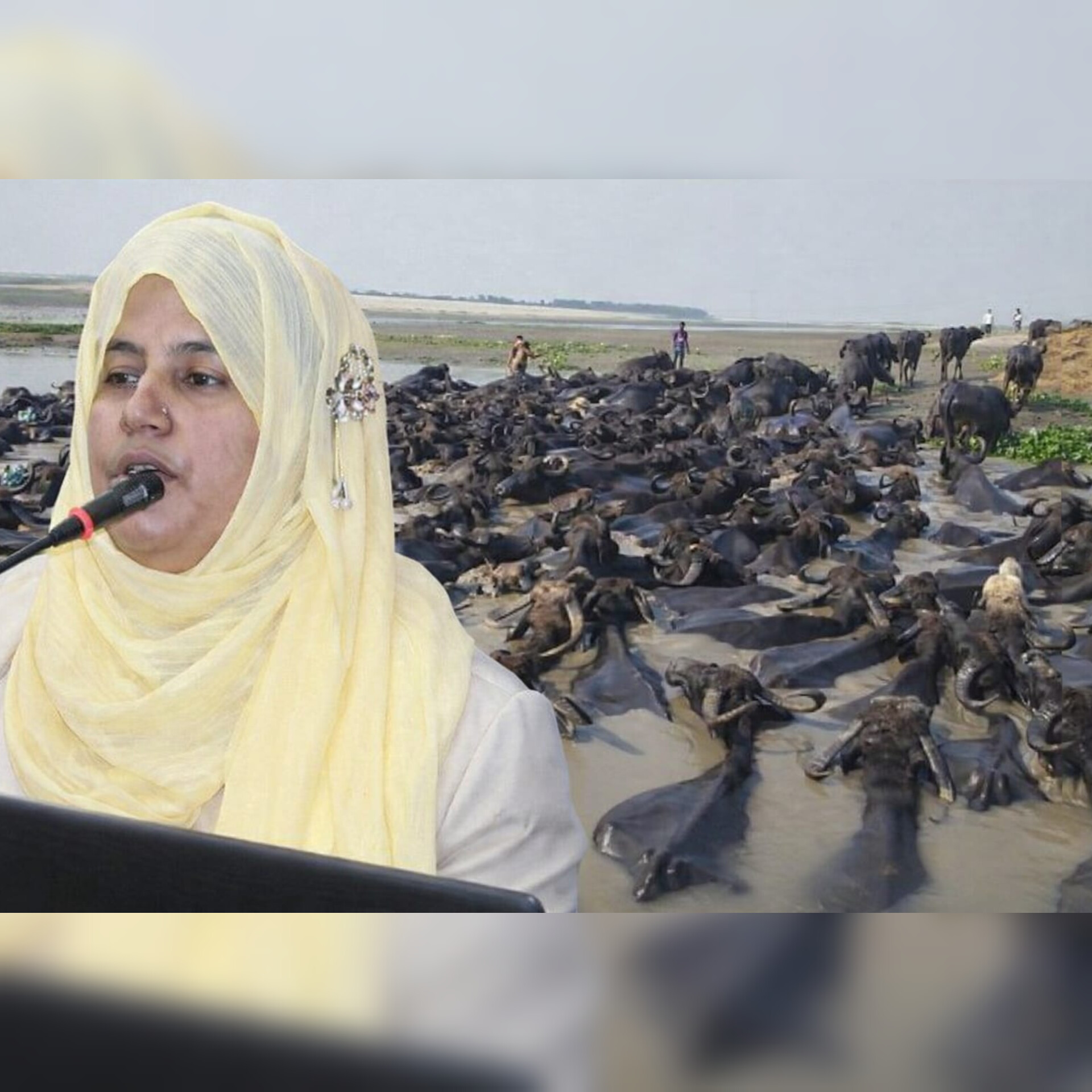 বিশ্ব স্বাস্থ্য দিবসে মহিষের মাংস ও দইয়ের পুষ্টিগুণ নিয়ে সচেতনতামূলক প্রচারণা